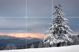 Tips Fotografi Menggunakan Telefon : RULE OF THIRDS….